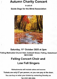Concert on 11.10.2025